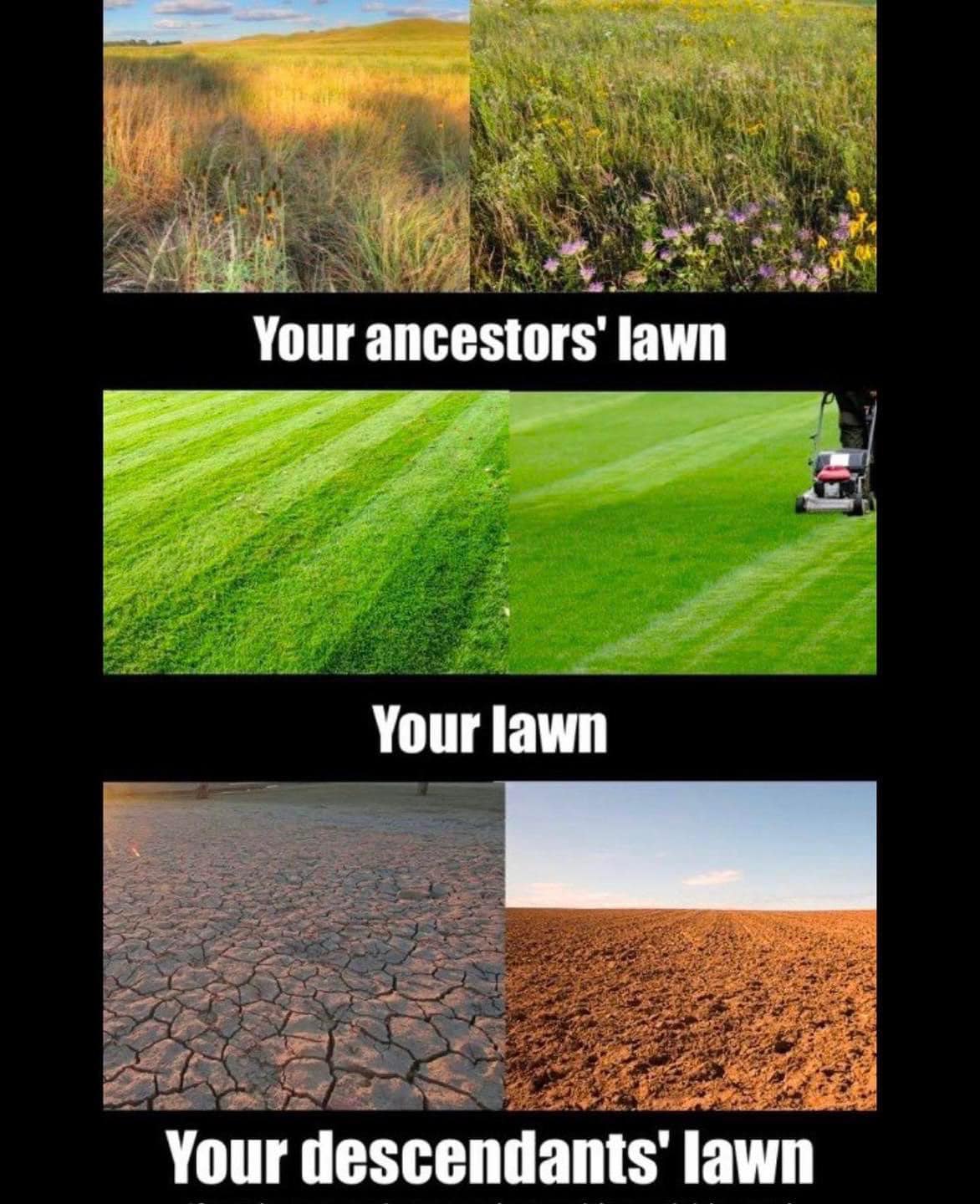 This meme is a humorous comparison between the natural environments of our ancestors and our descendants. The top image shows a lush, green grassy field with wildflowers, representing our ancestors' lawn. The middle image is a perfectly manicured lawn with a lawn mower, representing our current lawn. The bottom image is a barren, dry, and cracked landscape, representing our descendants' lawn. The text at the top reads "Your ancestors' lawn", at the middle reads "Your lawn", and at the bottom reads "Your descendants' lawn".